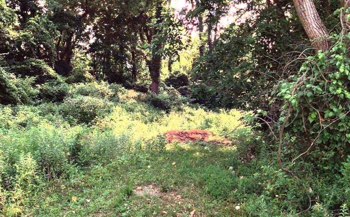 Pictures of Land property located at 0 Taylor Avenue, Columbus, OH 43219 for sales - image #1