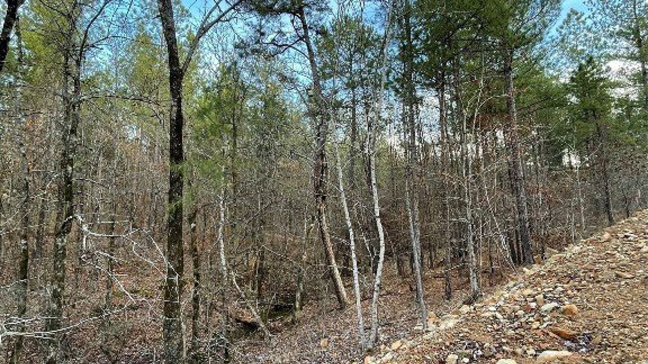 Address Unavailable, Broken Bow, OK 74728