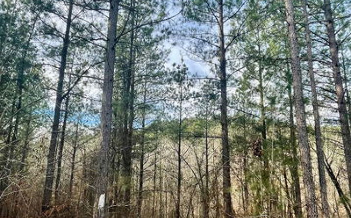 Pictures of Land property located at 707 Timber Creek Trails South Xl, Broken Bow, OK 74728 for sales - image #1