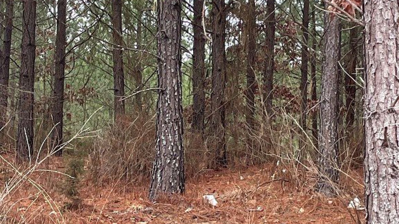 Address Unavailable, Broken Bow, OK 74728