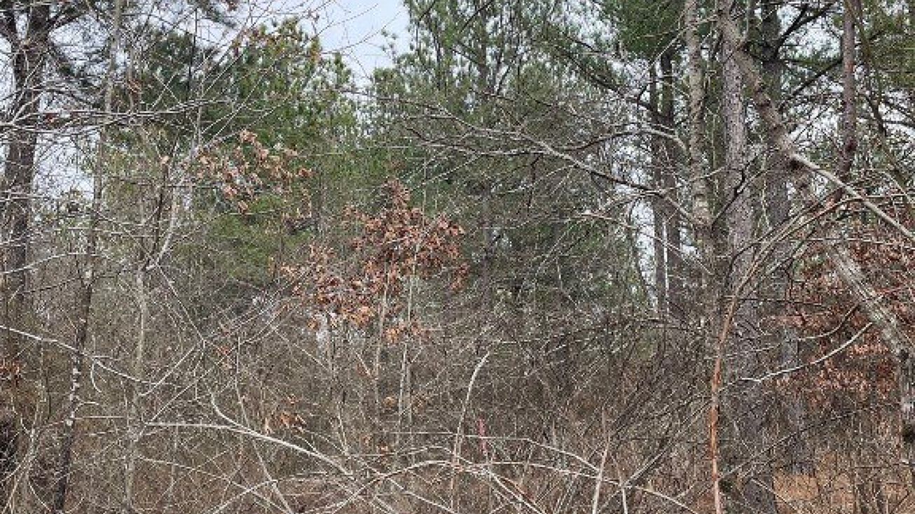 Address Unavailable, Broken Bow, OK 74728