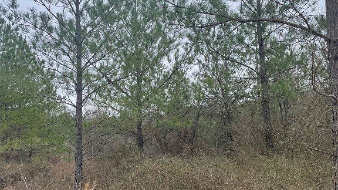 Address Unavailable, Broken Bow, OK 74728