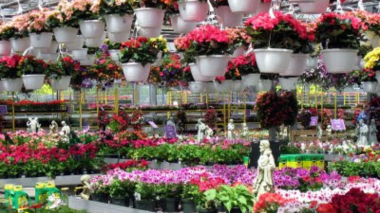 123 Pleasant St, Manchester, NH 03101