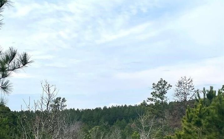 Pictures of Land property located at 20 Charmed Rdg Ln, Broken Bow, OK 74728 for sales - image #1