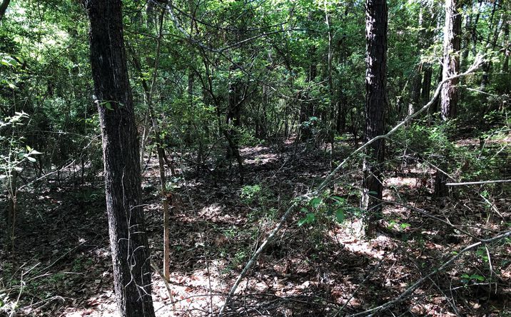 Pictures of Land, Multifamily, Special Purpose property located at NHN Bear Dr, Carriere, MS 39426 for sales - image #1