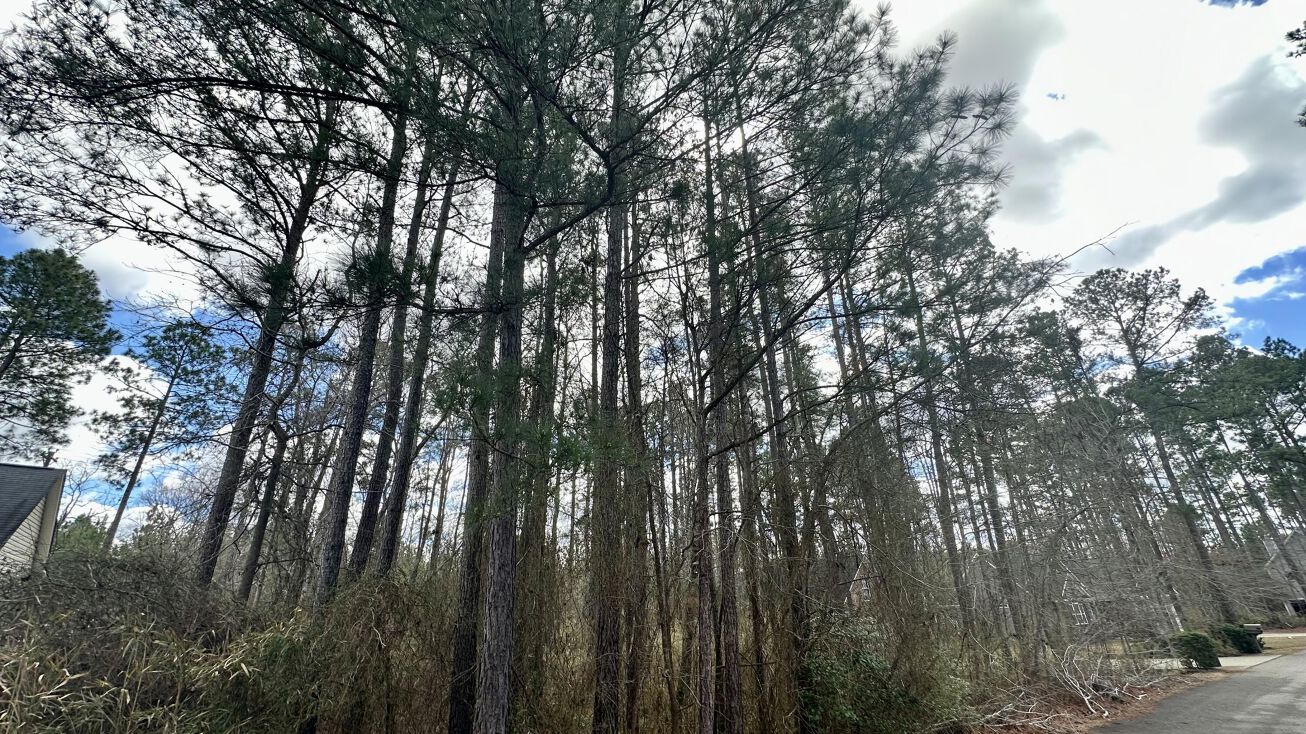 255 Maplewood Dr, Sanford, NC 27332