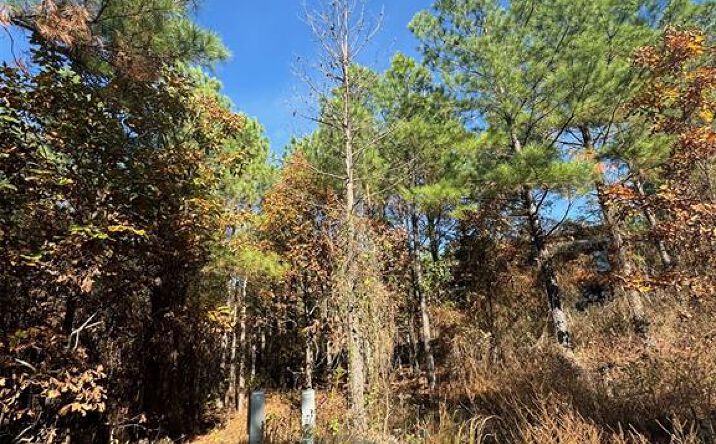 Pictures of Land property located at 117 Sugar Plum Ln, Broken Bow, OK 74728 for sales - image #1