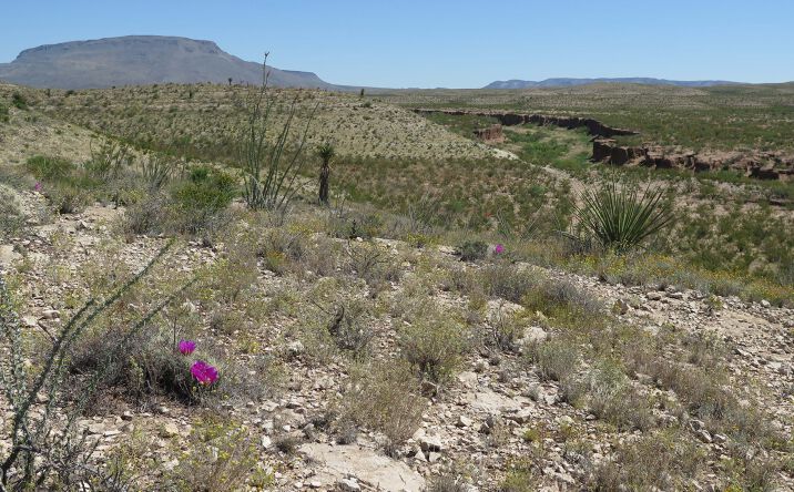 Pictures of Land property located at 49101 TX-118, Alpine, TX 79830 for sales - image #1