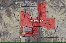 17229531