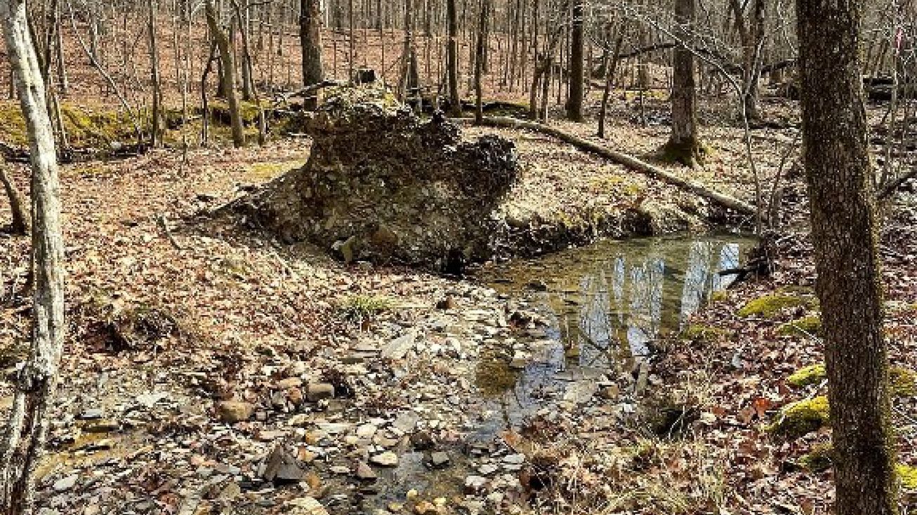 Address Unavailable, Broken Bow, OK 74728