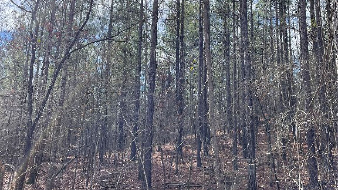 Address Unavailable, Broken Bow, OK 74728