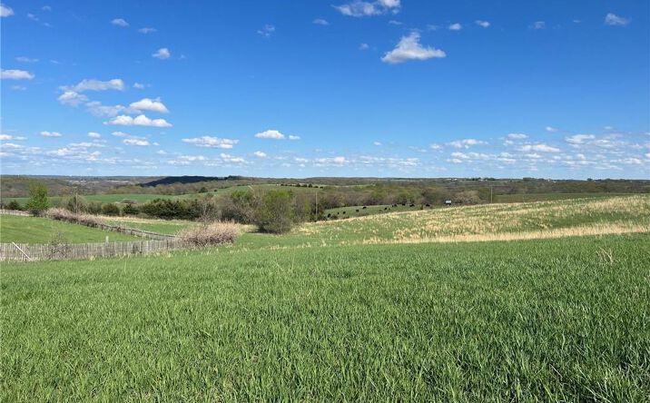 Pictures of Land property located at 195th Street, Easton, KS 66020 for sales - image #1