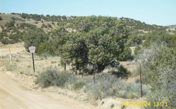 Pictures of Land property located at X ROAD 3179, Aztec, NM 87410 for sales - image #1