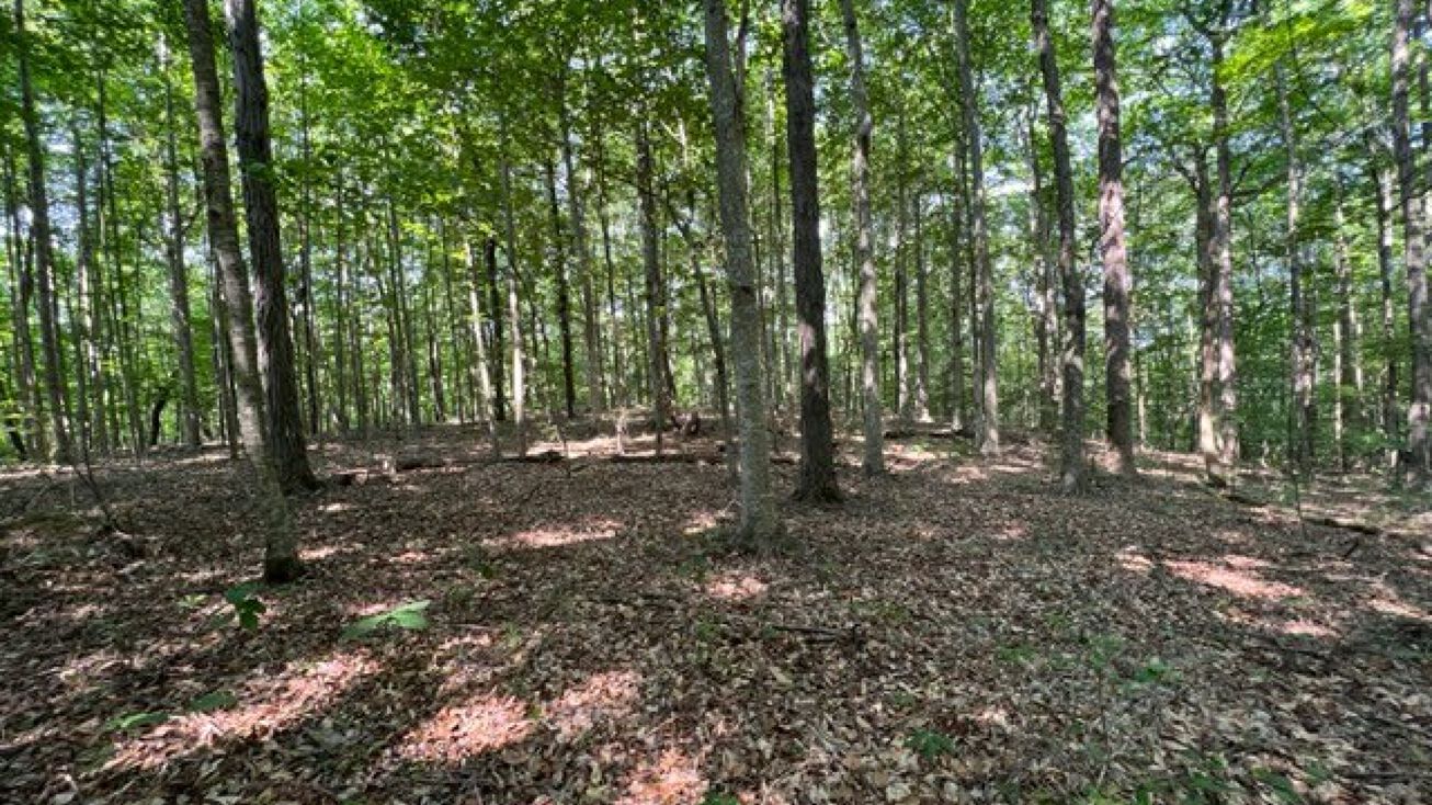 H R Huffer Rd, Allons, TN 38541