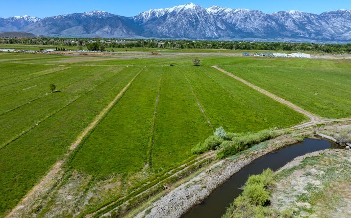 Pictures of Land property located at 000 Pinenut Rd, Gardnerville, NV 89410 for sales - image #1