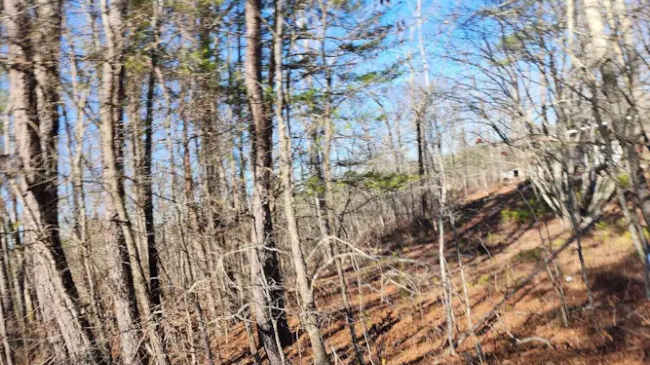 Lot 4 Carrollton Dr, Cullman, AL 35055