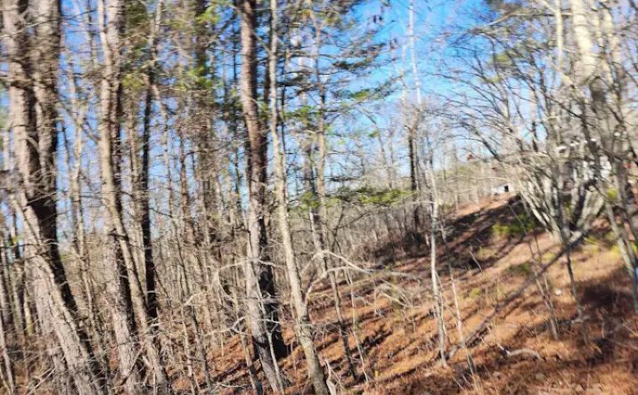 Pictures of Land property located at Lot 21 Daniel Drive, Trafford, AL 35172 for sales - image #1