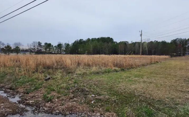 Pictures of Land property located at 0 NW Main St, Hanceville, AL 35077 for sales - image #1