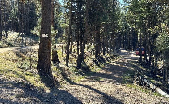 Pictures of Land property located at 1295 Stage Coach Drive, Seeley Lake, MT 59868 for sales - image #1