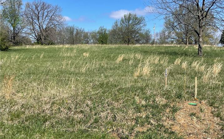 Pictures of Land, Special Purpose property located at Lot 1783 Lake Viking Terrace, Gallatin, MO 64640 for sales - image #1