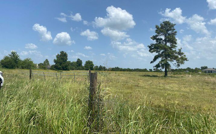 Pictures of Land property located at 12250 Longstreet Rd, Willis, TX 77318, 12250 Longstreet, Willis, TX 77318 for sales - image #1