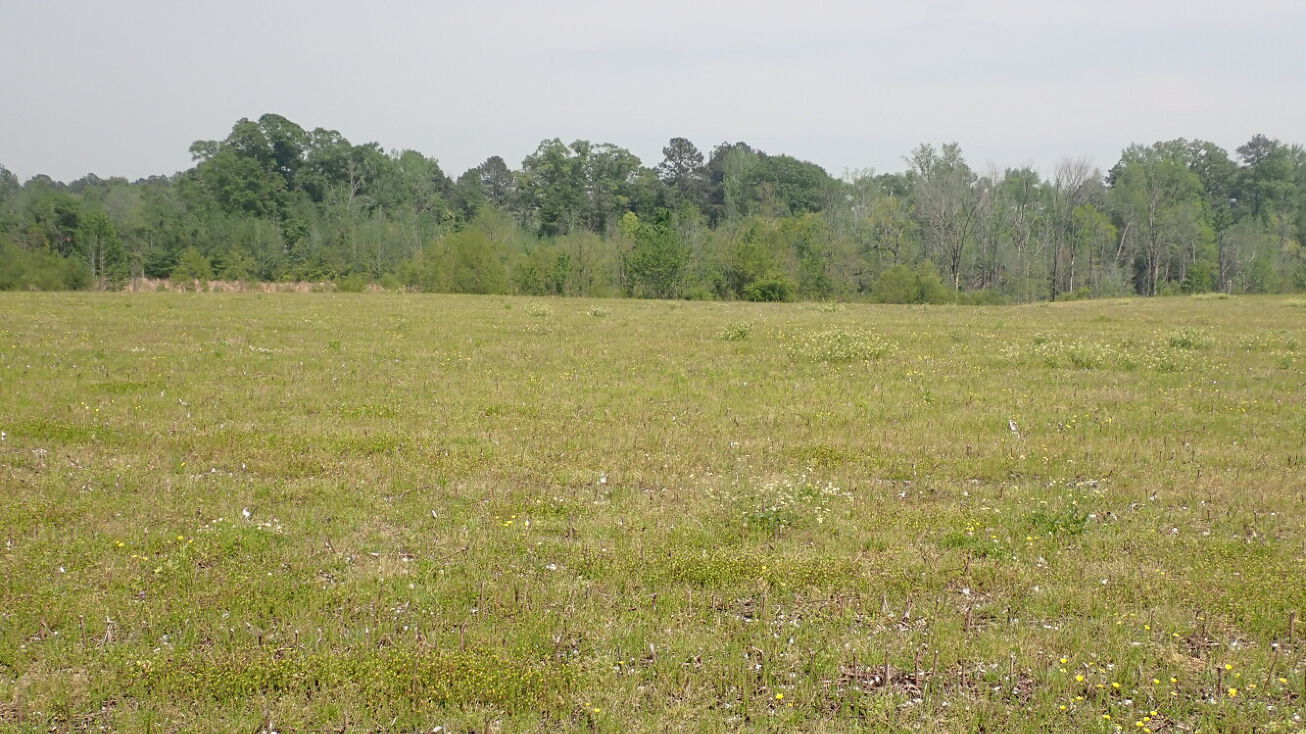 0 County Road 55, Thomasville, AL 36784