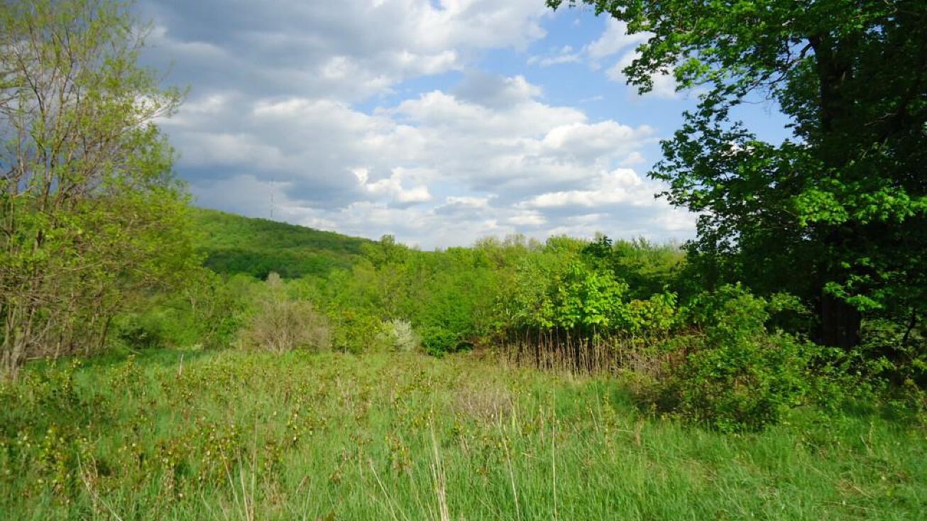 Crescent Avenue, Plattekill, NY 12528