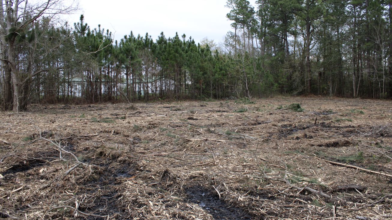 Brodnax Rd, Latimer, MS 39565