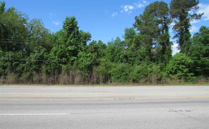 Pictures of Special Purpose, Land property located at TBD S Main Street, Darlington, SC 29532 for sales - image #1