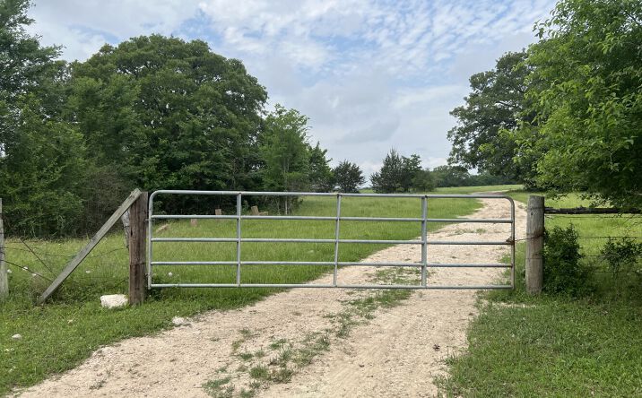 Pictures of Land property located at R13945 A0049 J Peterson Tract 11, 50.715 Acres, Anderson, TX 77830 for sales - image #1