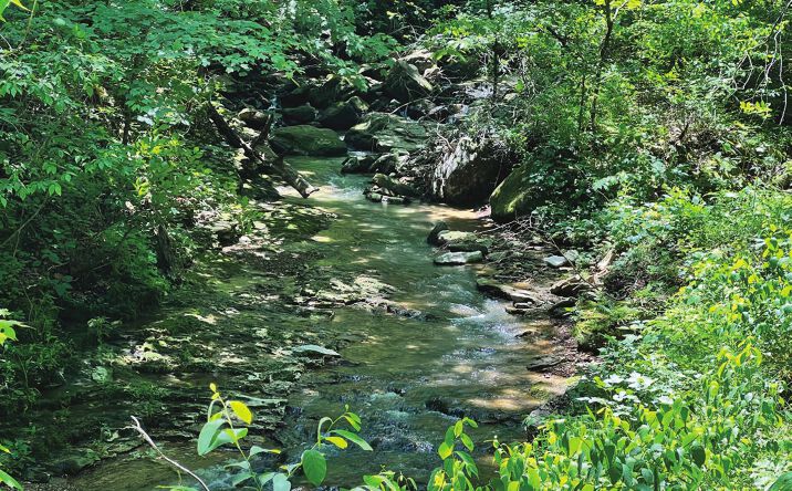 Pictures of Land property located at Jasper Retreat, Bon Wier, AR 75928 for sales - image #1
