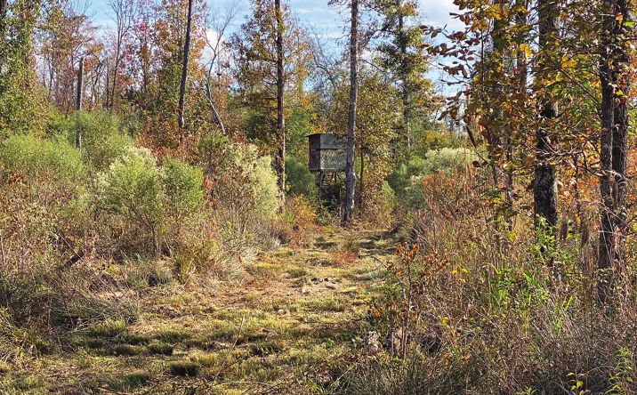Pictures of Land property located at Union County Hideaway, Luttrell, AR 37779 for sales - image #1