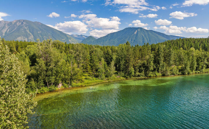 Pictures of Land property located at NHN Belton Stage, West Glacier, MT 59936 for sales - image #1