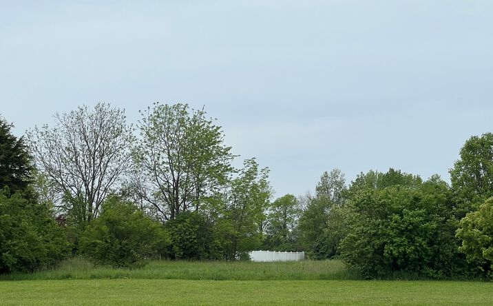 Pictures of Land property located at 1998 A North Bowman Ave, Danville, IL 61832 for sales - image #1