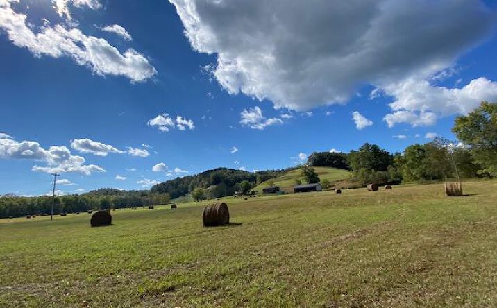 Pictures of Land property located at 5206 St. Hwy 1496, Grayson, KY 41143 for sales - image #1