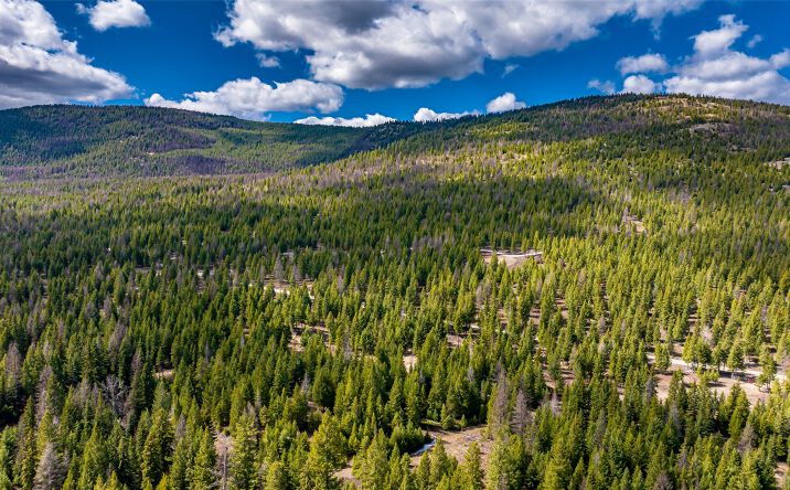 Pictures of Land property located at 1583 Wild Bill Road Lot 4, Kila, MT 59920 for sales - image #1