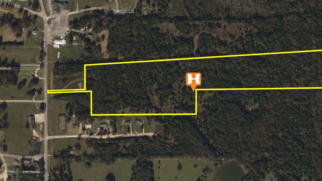 Address Not Disclosed, Hayneville, AL 36040