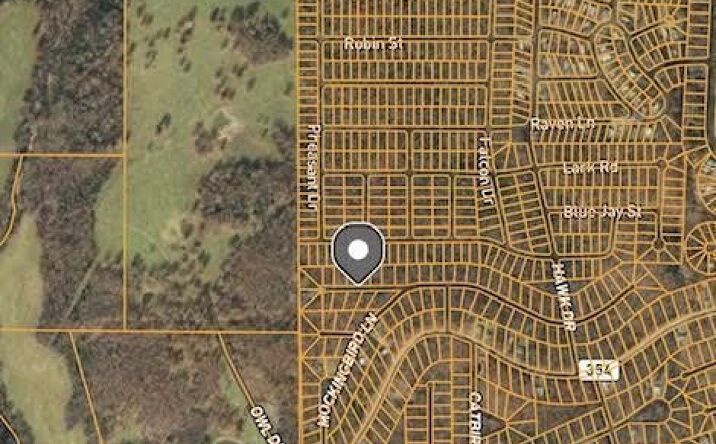 Pictures of Land property located at 1501-1503 Sparrow Drive, Horseshoe Bend, AR 72512 for sales - image #1