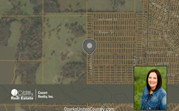 Pictures of Land property located at 1504 Lark Road, Horseshoe Bend, AR 72512 for sales - image #1