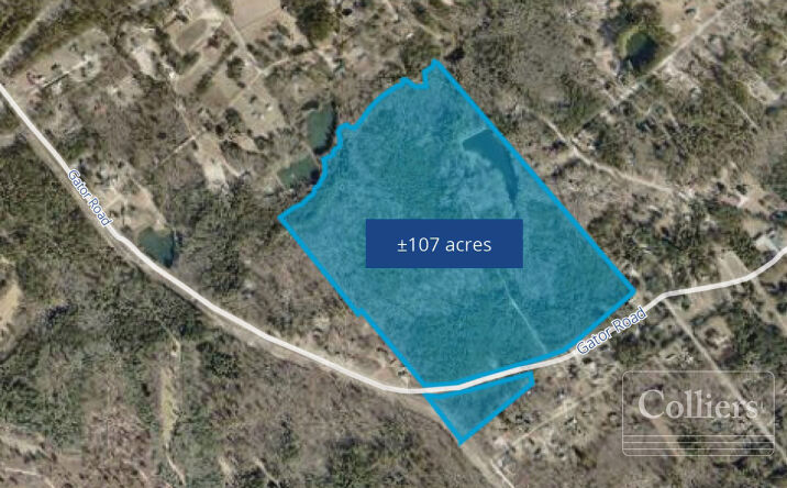 Pictures of Land property located at 500 Gator Rd, Gaston, SC 29053 for sales - image #1