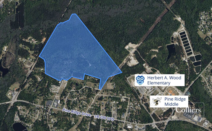 Pictures of Land property located at Congaree Dr, Pine Ridge, SC 29172 for sales - image #1