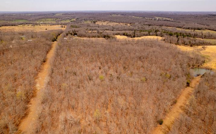 Pictures of Land property located at 0000 County Road 314, Alton, MO 65606 for sales - image #1