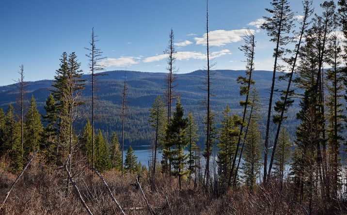 NHN Swan Lake Overlook, Bigfork, MT 59911 | Crexi.com