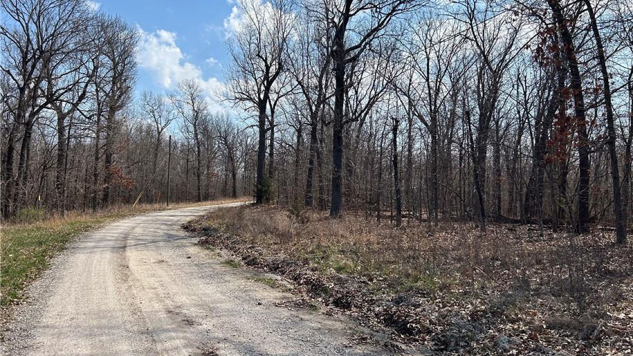 TBD SE 1151 Road, Deepwater, MO 64740