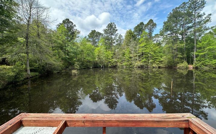 Pictures of Land property located at 613 Rocky Knob Road, Sylvania, GA 30467 for sales - image #1