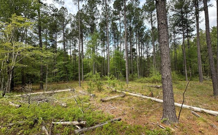 Pictures of Land property located at 613 Rocky Knob Road, Sylvania, GA 30467 for sales - image #1