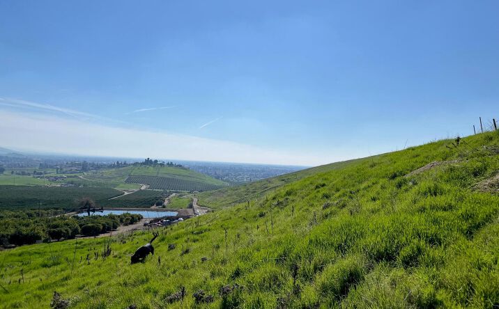 Pictures of Land property located at N Main & Reed Ave, Porterville, CA 93257 for sales - image #1