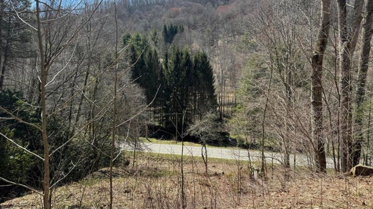 00 Tiger Creek Road, Roan Mountain, TN 37687