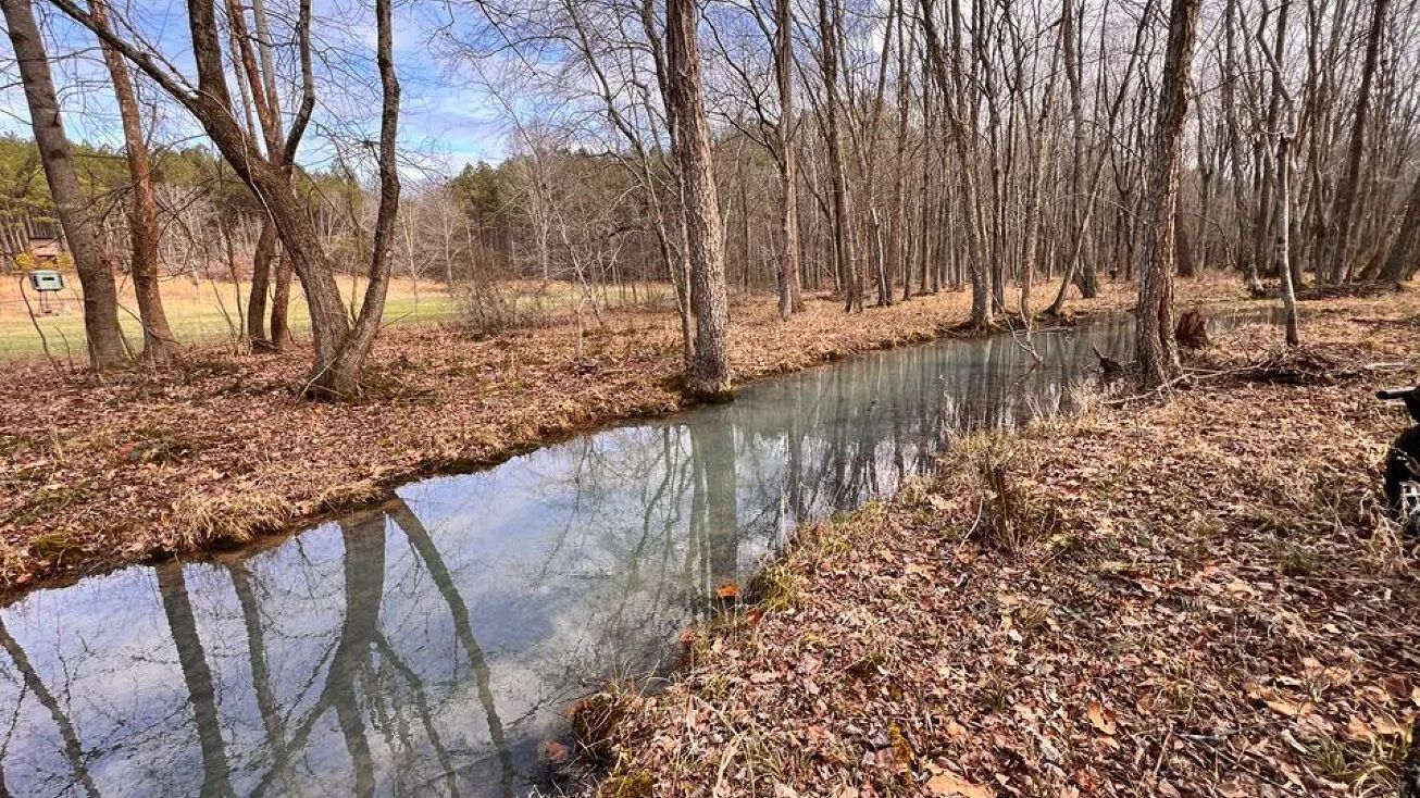 Mallory Cemetery Rd, Hamlin, KY 42076