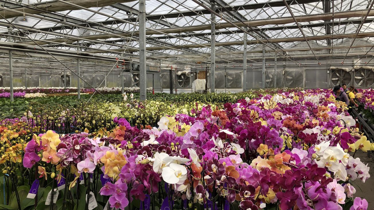 932 Scotchtown Collabar Rd, Middletown, NY 10941